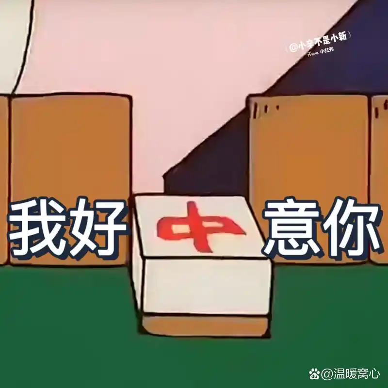 今年会的毕业生